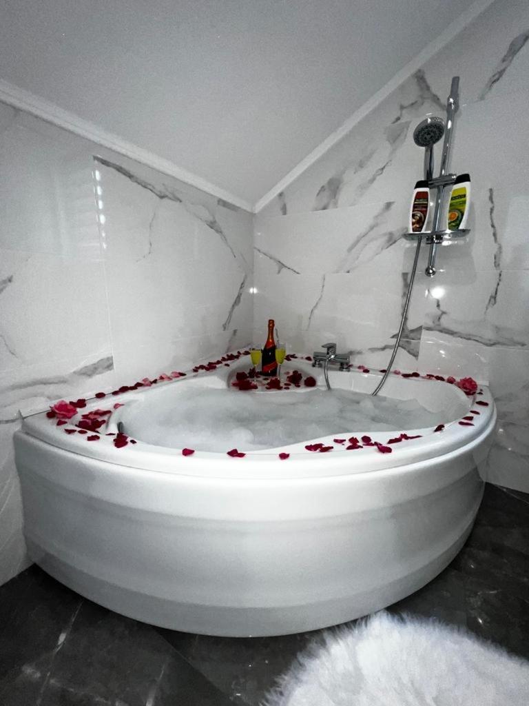 Luxury Apartment Megy Otocac Luaran gambar