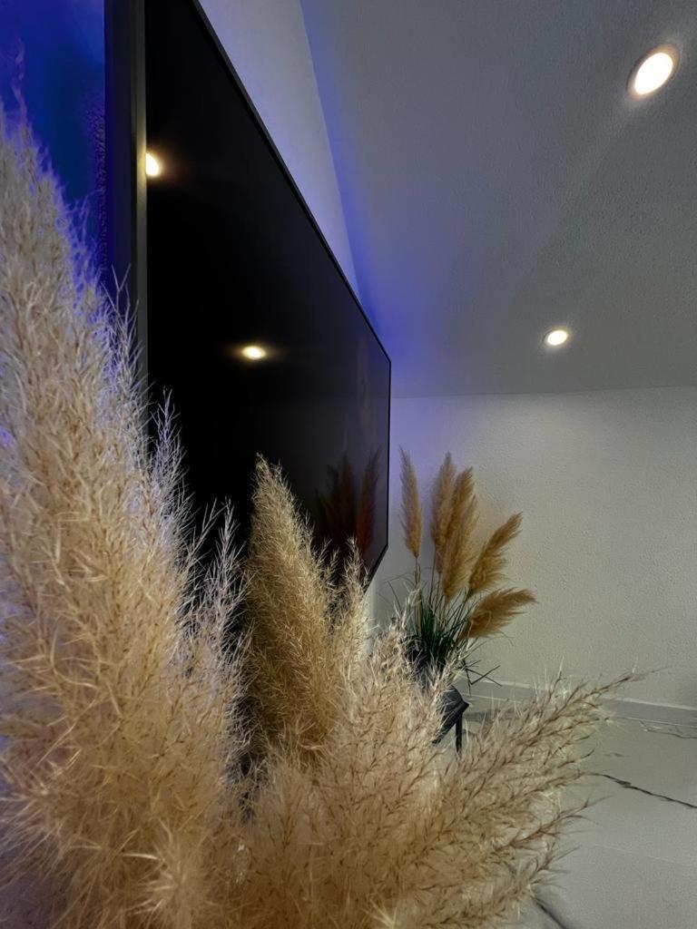 Luxury Apartment Megy Otocac Luaran gambar
